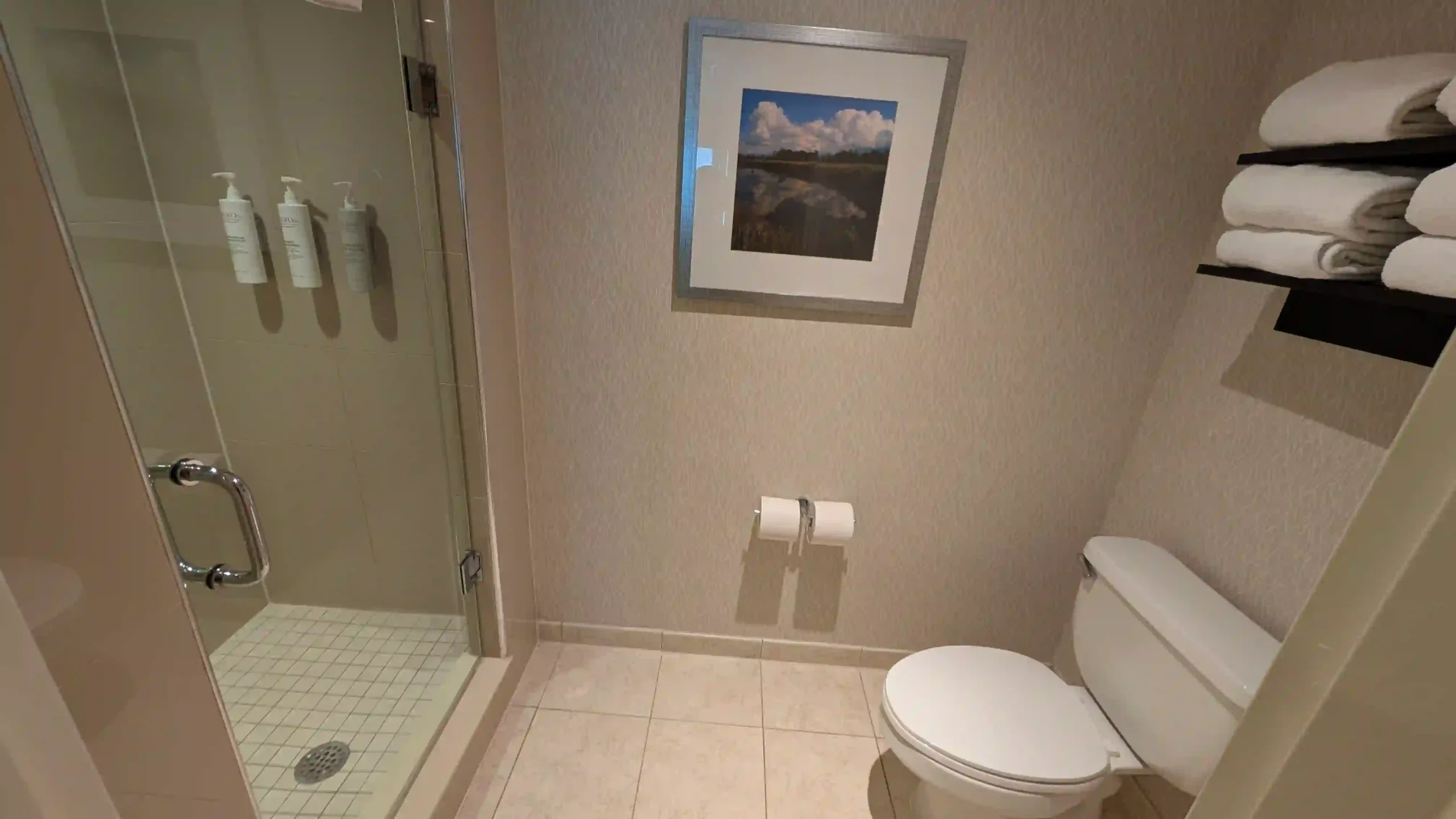 Shower and Toilet Area